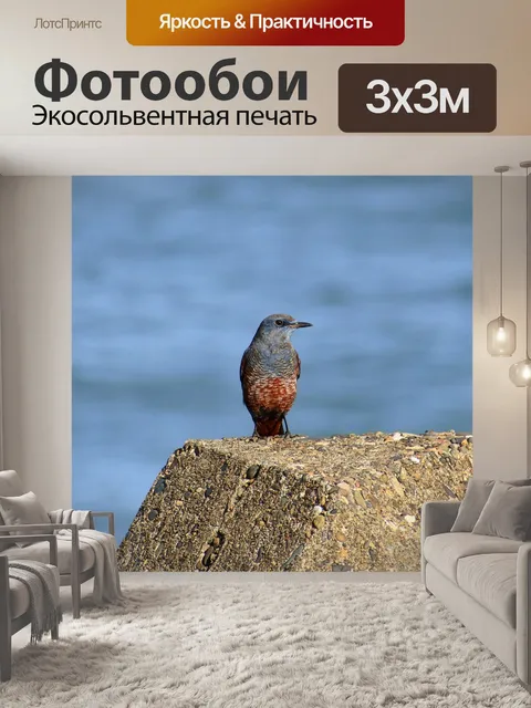 Фотообои Животное