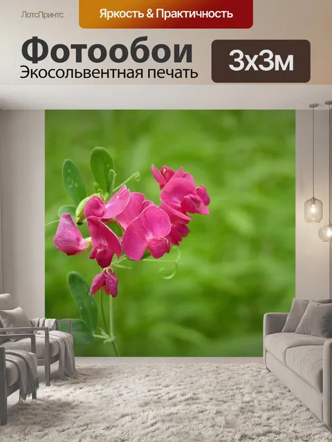 Фотообои Цветы