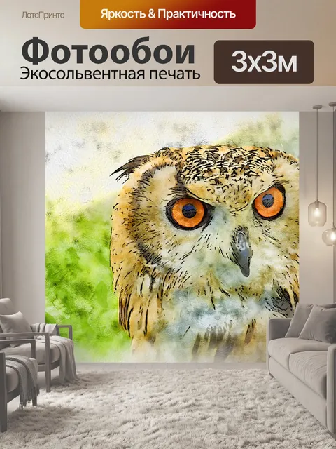 Фотообои Сова