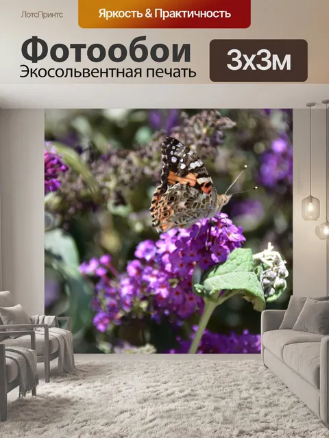 Фотообои бабочка на лаванде