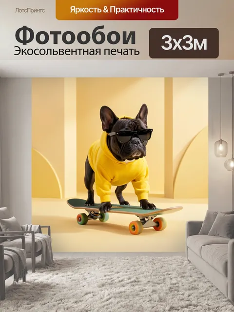 Фотообои Бульдог на скейтборде в очках
