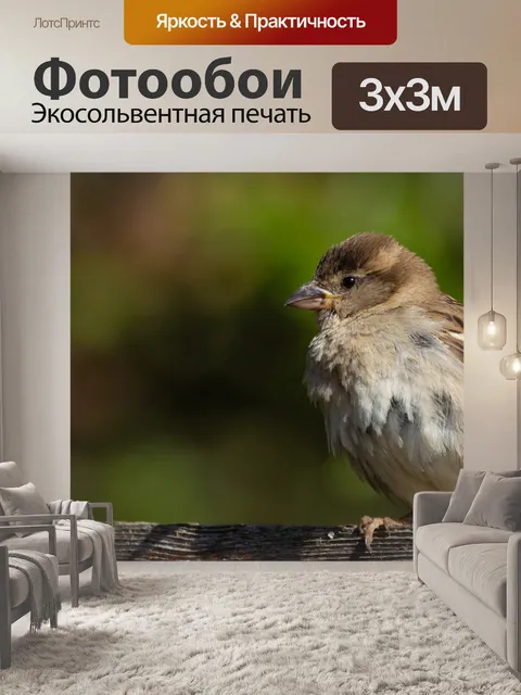 Фотообои Воробей