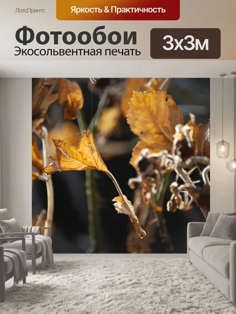 Фотообои Осеннее впечатление