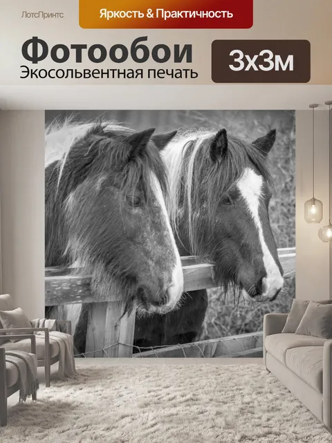 Фотообои лошадь