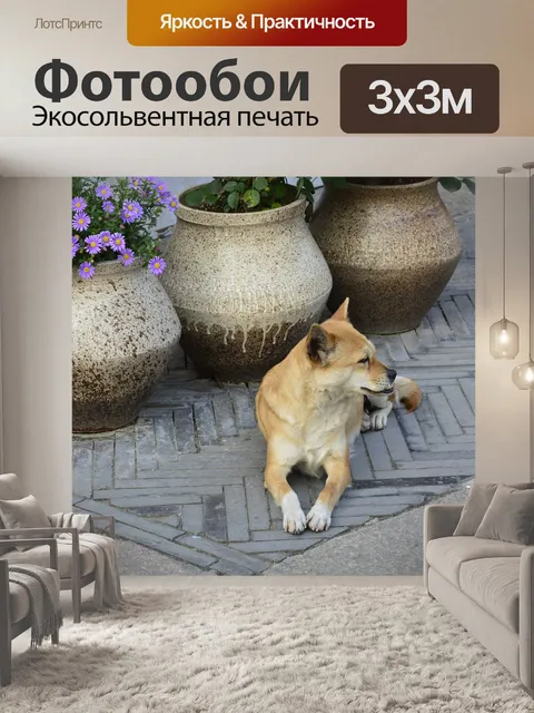 Фотообои Животное