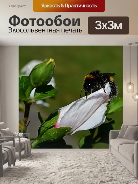 Фотообои Природа