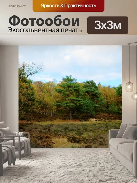 Фотообои Фон
