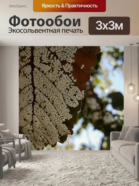 Фотообои Лист