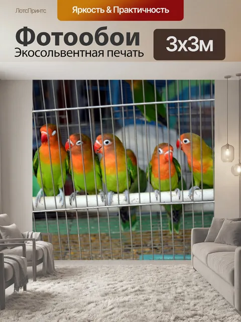 Фотообои Пять птиц