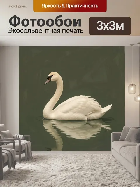 Фотообои Белый лебедь на темной воде