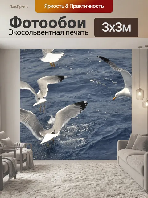 Фотообои Чайки