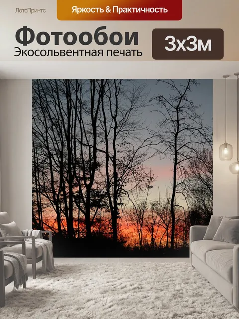 Фотообои Деревья