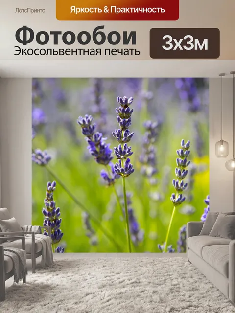 Фотообои Цветок лаванды