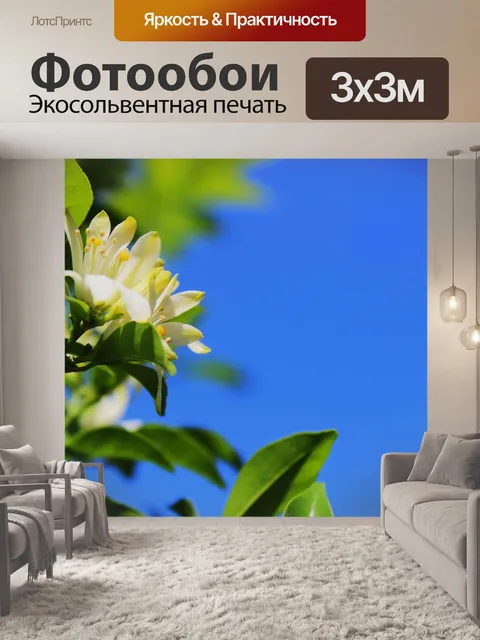Фотообои Стеклянный цветок