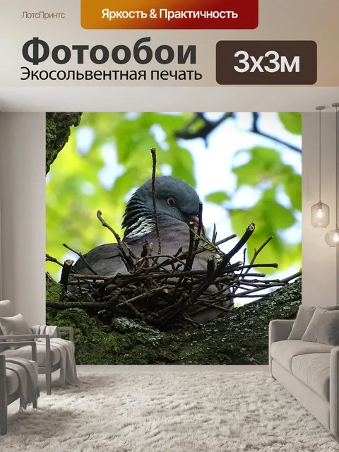 Фотообои Дерево