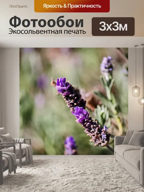 Фотообои ярко-фиолетовый лавандовый стебель