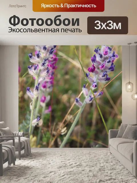 Фотообои Дикие цветы луг