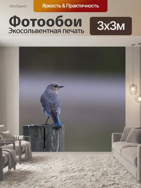 Фотообои Синяя птица