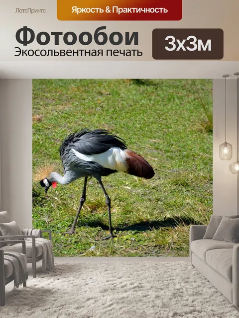 Фотообои Западной Африки журавлей