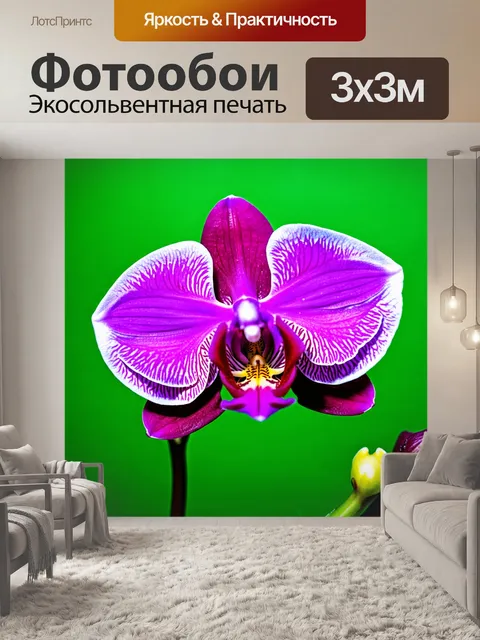 Фотообои орхидея с контрастными фонами, яркие цвета