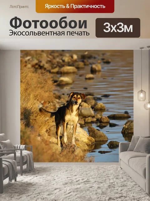 Фотообои Природа