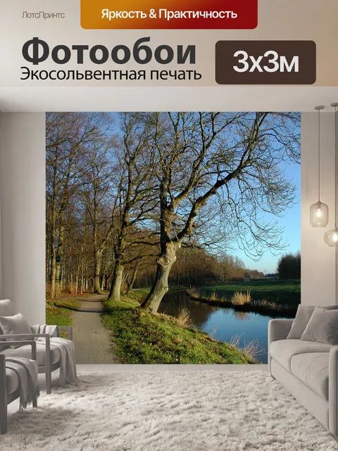 Фотообои Лес