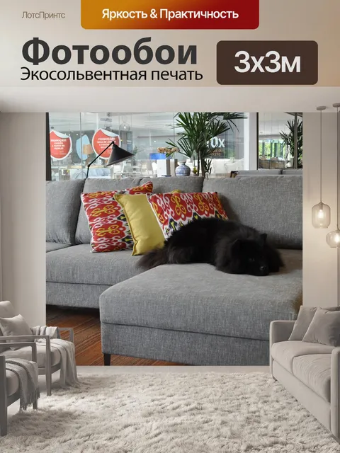 Фотообои Собака