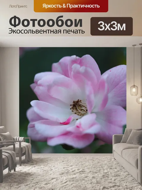 Фотообои Цветок