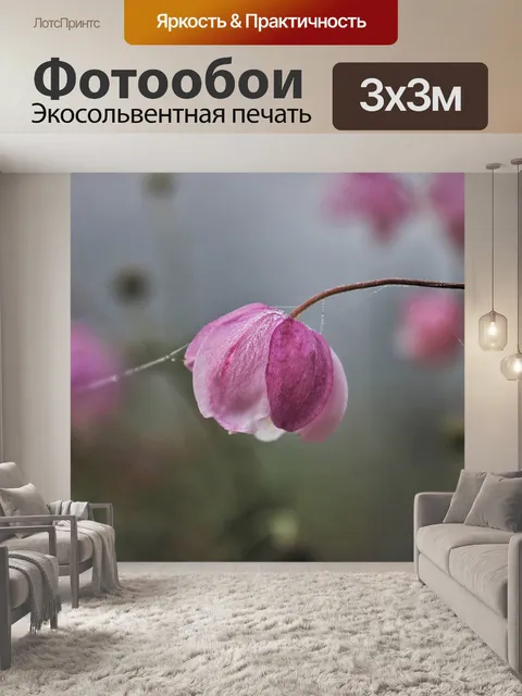 Фотообои Сад