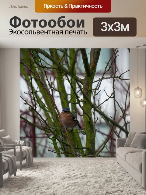 Фотообои Птица