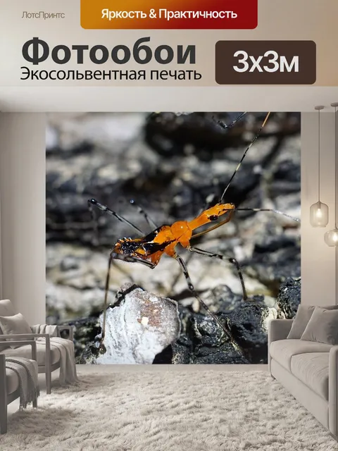 Фотообои Насекомое