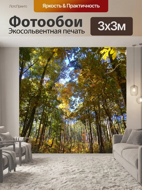 Фотообои Падение деревьев вдоль тропы