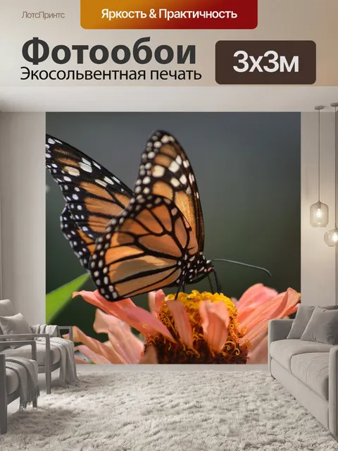 Фотообои Бабочки