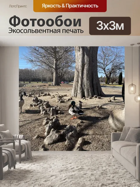 Фотообои Река
