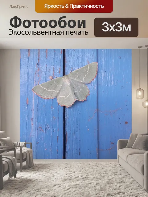 Фотообои Бабочка