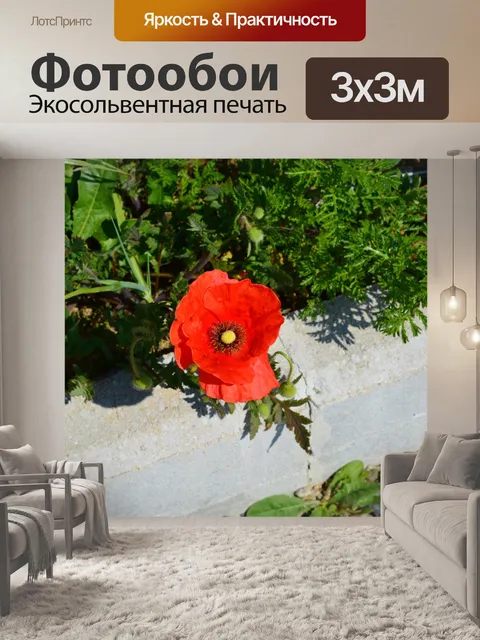 Фотообои Мак