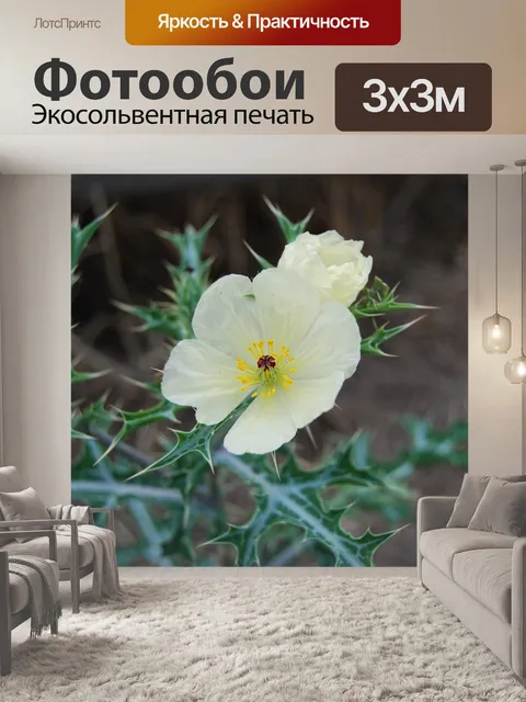Фотообои Цветок