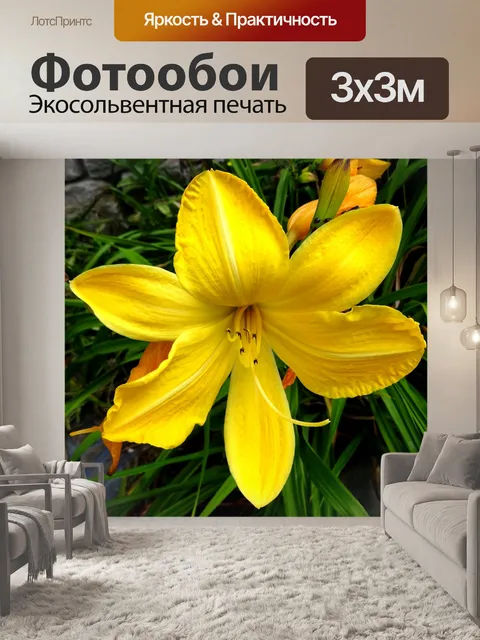 Фотообои Весенний нарцисс в цвету