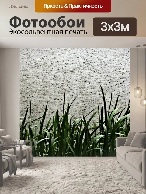 Фотообои Дождь