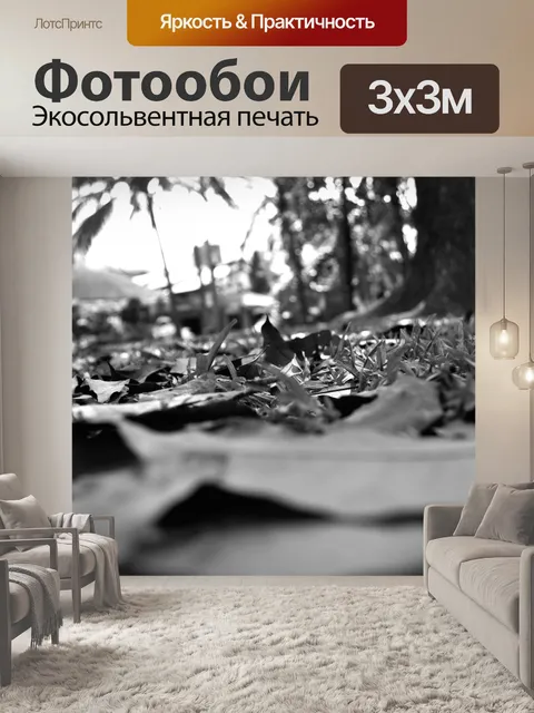 Фотообои черно-белые