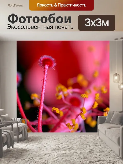 Фотообои Гибискус