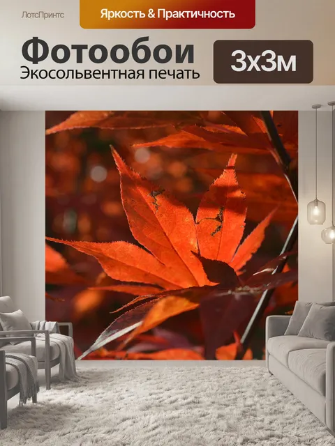 Фотообои Клен