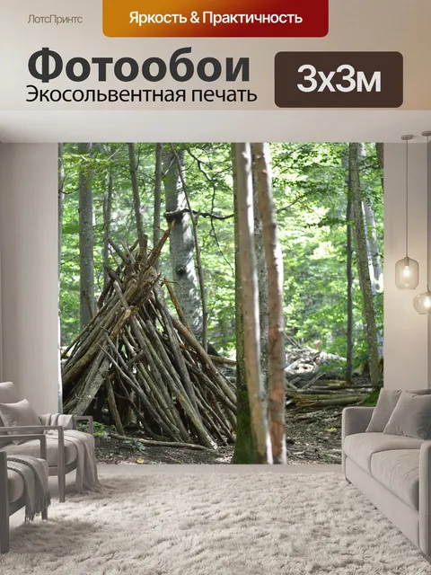 Фотообои Лес