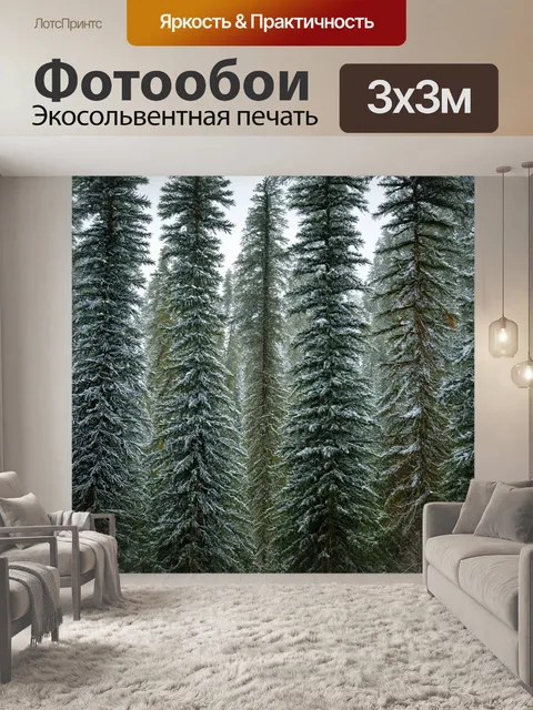 Фотообои густой еловый лес с морозными узорами на стволах