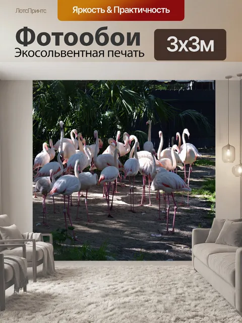 Фотообои Фламинго в дикой природе