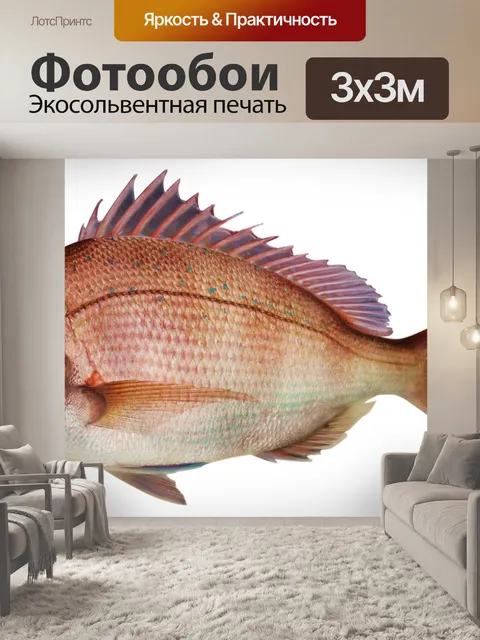 Фотообои Рыба