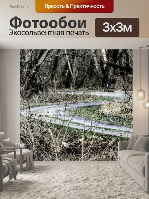 Фотообои Извилистая дорога