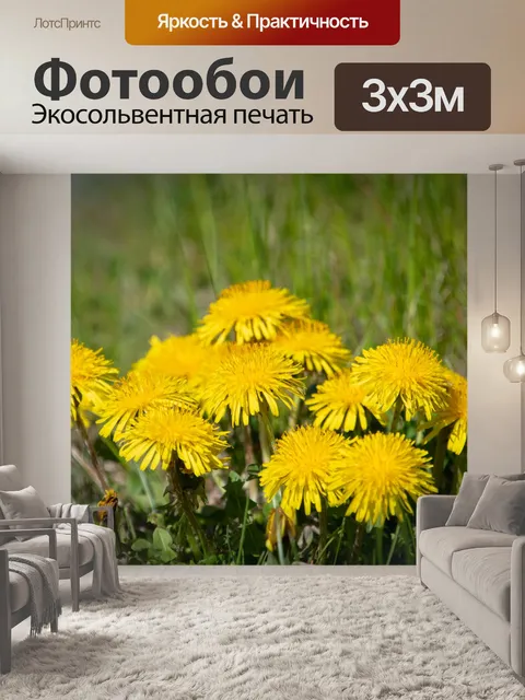 Фотообои Одуванчик, желтый цветок