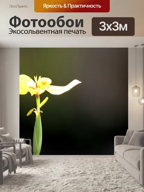 Фотообои Один цветок под солнцем