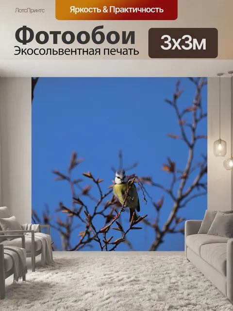 Фотообои Птица